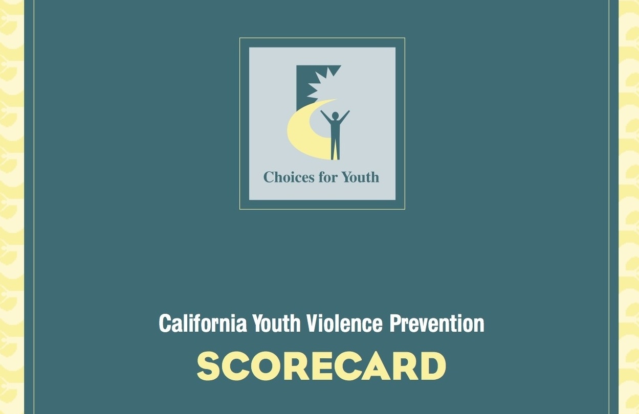 Case studies youth violence speakers